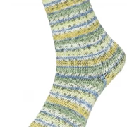 Bamboo Socks musterbildend