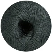 Java Linie 164 uni