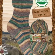 Opal Wilde Natur